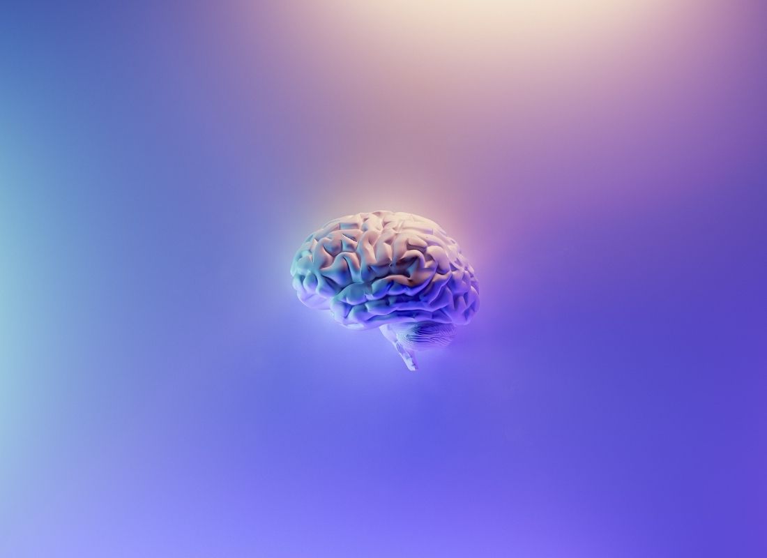 Brain on purple background